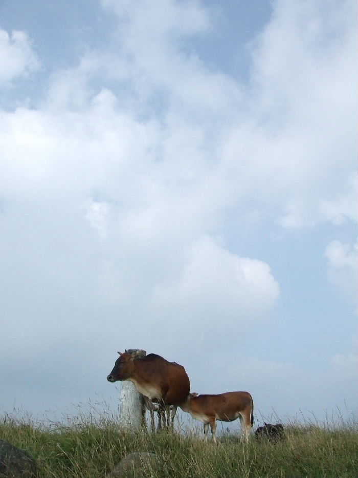 2010_10160570