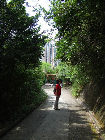 ff127c09.jpg