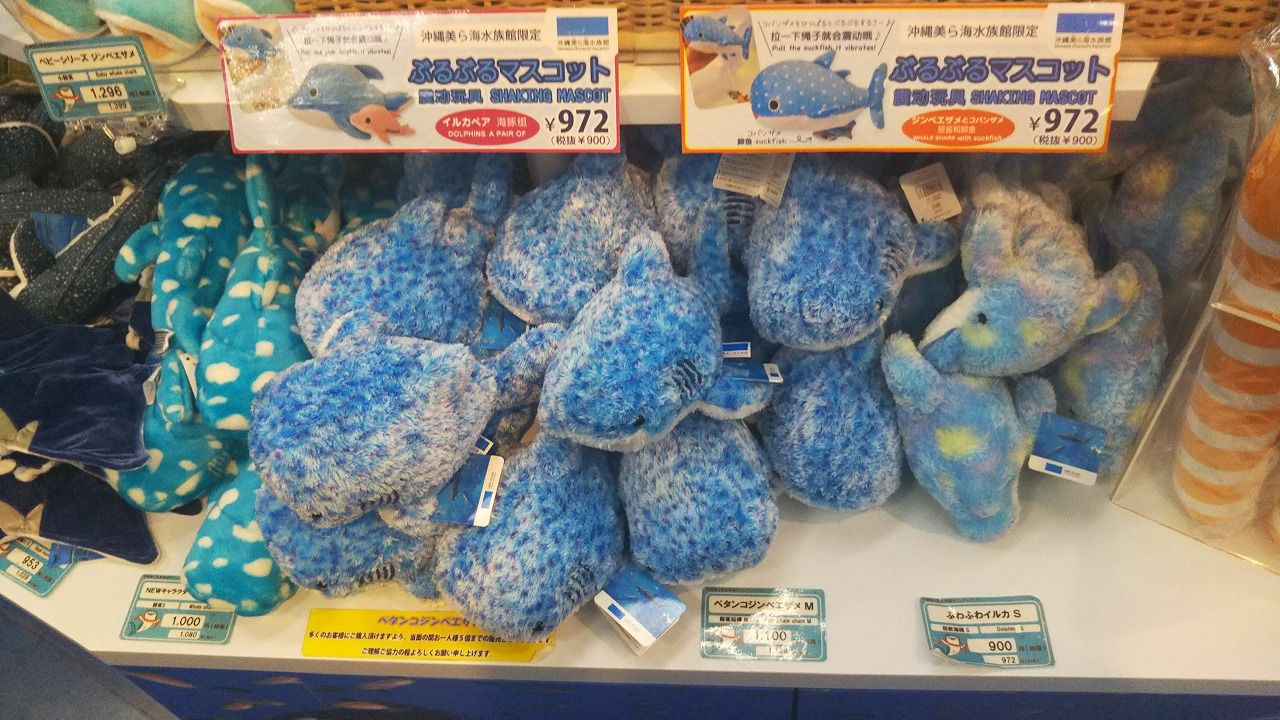 アオコ購入 In沖縄 月曜日の朝スカッと起きられた