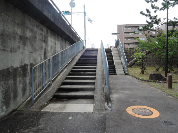 DSCN4439