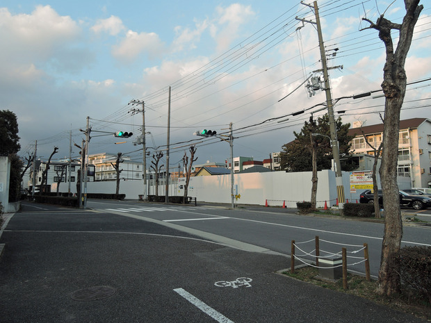 芦屋市立精道こども園 (1)