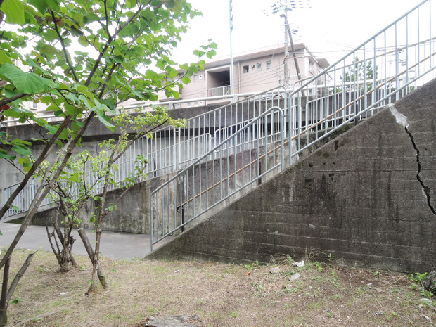 DSCN4435