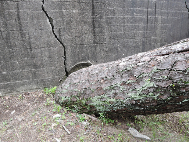 DSCN4436