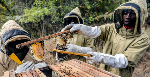 beeday