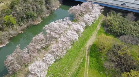 DJI_0005