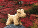 momiji3