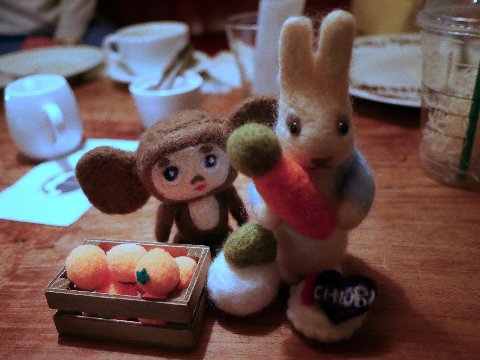 usagi180613 (8)