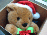 tanuki