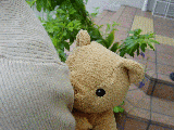 1a3c8029.gif