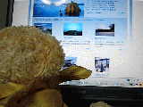 1a488192.gif