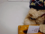 1ada2307.gif