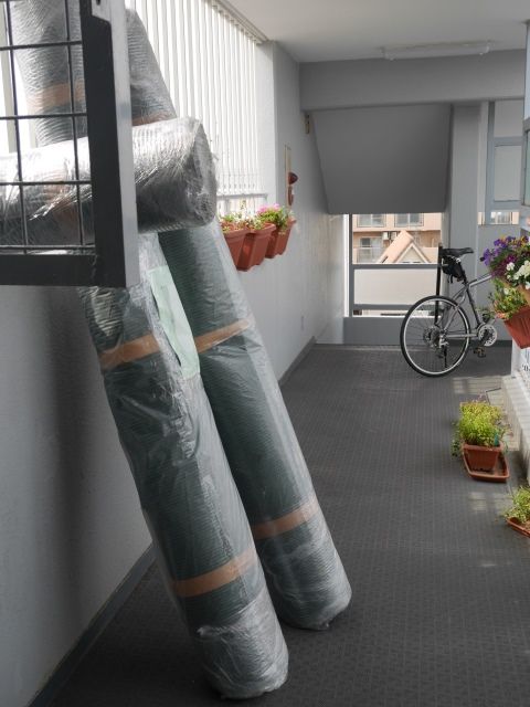 garden2-2