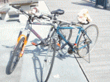 448091c3.gif