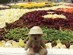 infiorata3