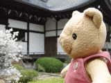 koryuji