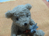 momonga