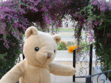 7ce19f8d.gif