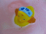 ahiru