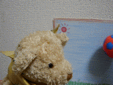 kumaball