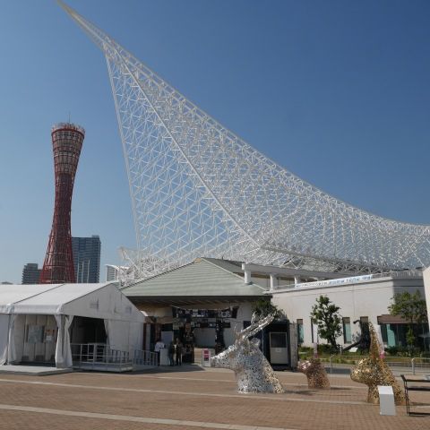chipi25_151024 (6)