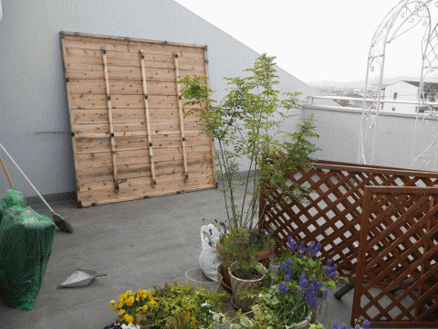 garden5