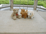 roof2