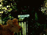 b795f79c.gif