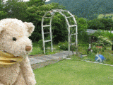 garden1