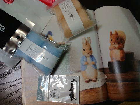 usagi180613 (2)