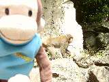 cb23eb09.gif