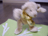 billy_cookie