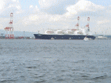 d1f329e9.gif