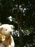 d6a67ff0.gif