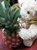 pineapple1