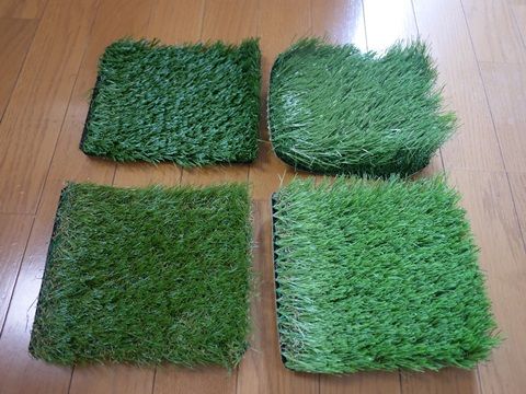 garden2-5