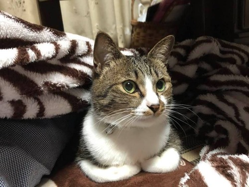 98287940_1673653796144584_8548053317924683776_n