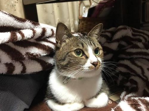 97470693_1673653792811251_1800394026411622400_n