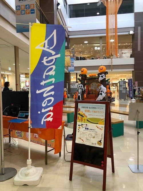 72783499_1471042293072403_3808584364514607104_n