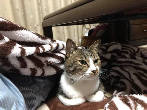 97438182_1673653802811250_7958408648110112768_n