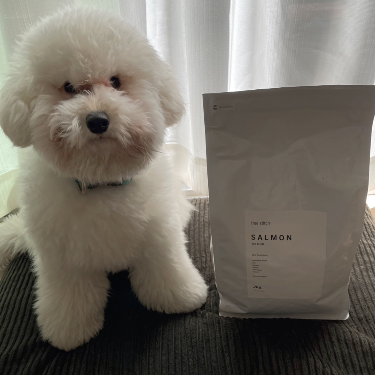 トイプー フリーステッチさんのフード Pr Irodori 心地よくて小さな暮らし Powered By ライブドアブログ