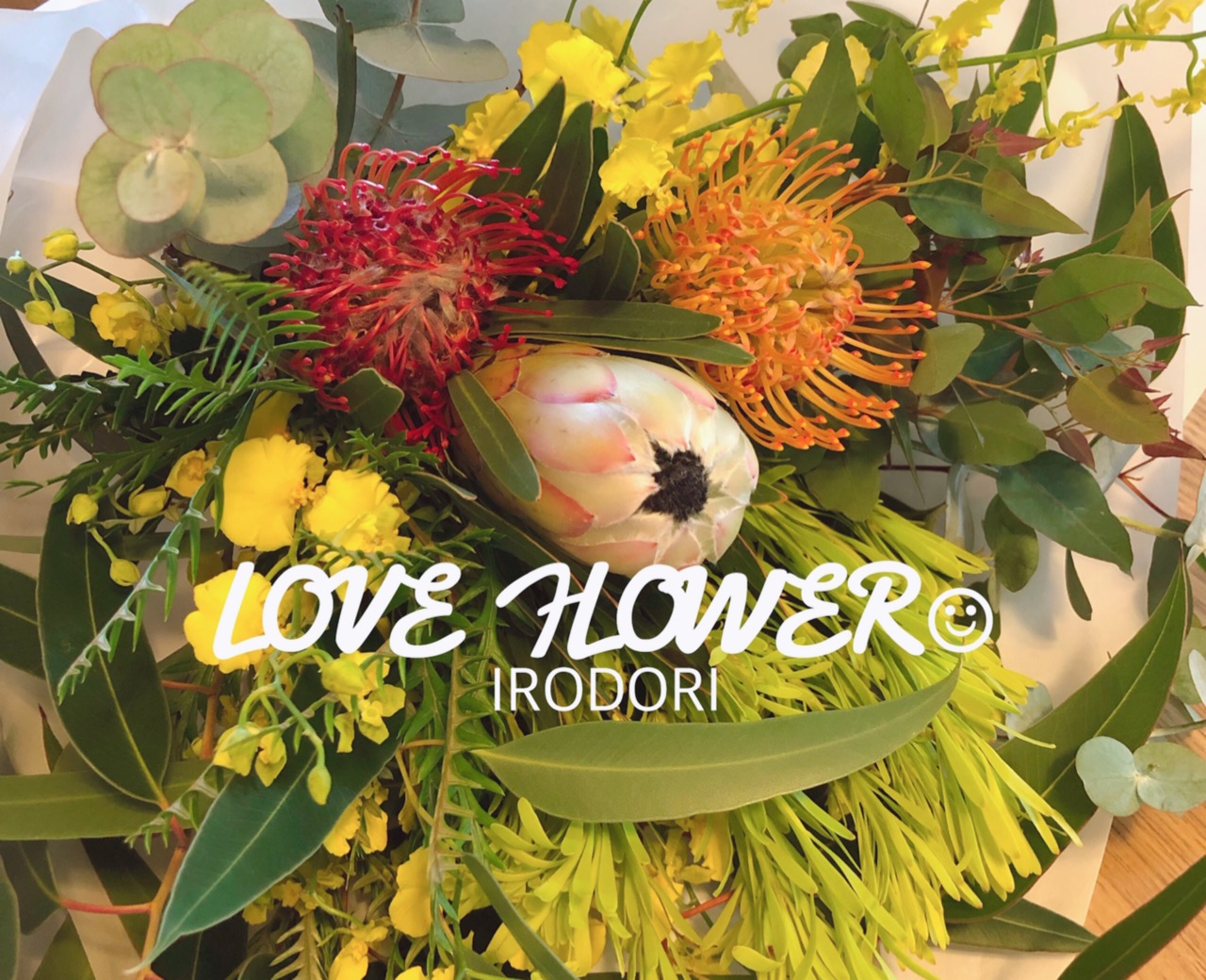 世界の花屋の定期便 2月はスペイン ラ パルマ島から届いたプロテアホワイトナイト Irodori 心地よくて小さな暮らし 世界の花屋の定期便 2月はスペイン ラ パルマ島から届いたプロテアホワイトナイト Irodori 心地よくて小さな暮らし