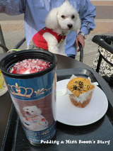 11.3 プリン