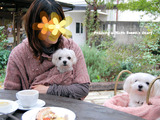 MOKICHI