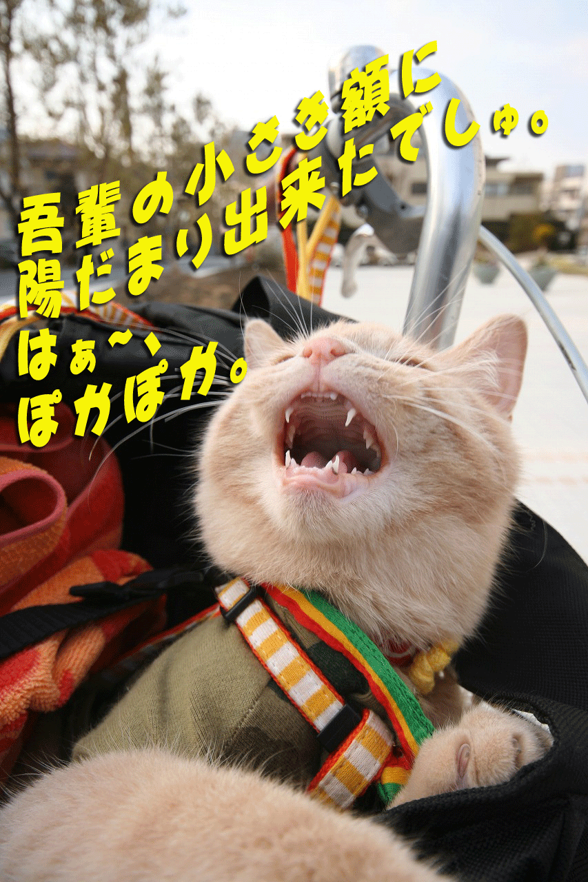 sanpo05