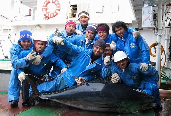 マグロ漁船で1年働いてみた結果ｗｗｗｗｗ M9 D ﾌﾟｷﾞｬｰまとめ