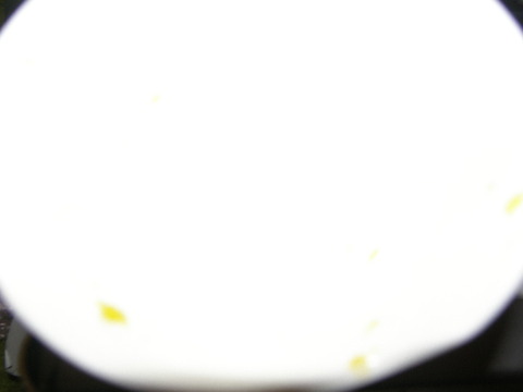 P7290069