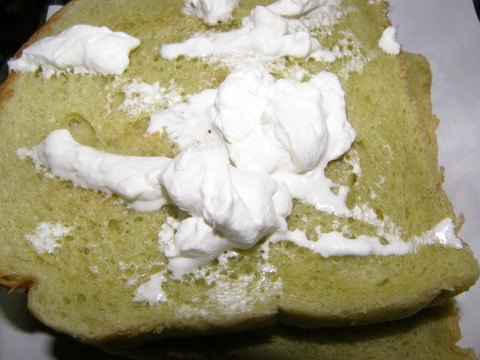 P4232121