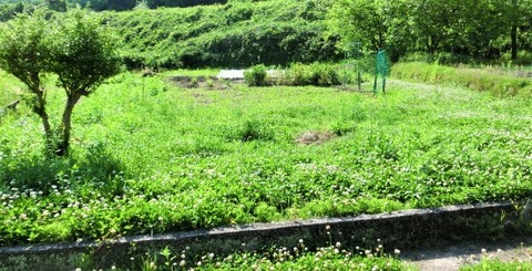 CIMG4228 (2)