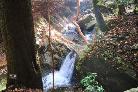 IMG_7148 (2)