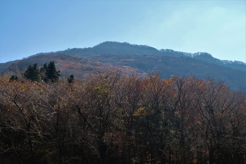 IMG_7154 (2)